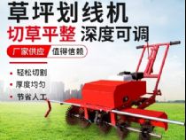 點(diǎn)擊查看詳細(xì)信息<br>標(biāo)題：草皮劃線機(jī) 閱讀次數(shù)：3140